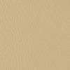 Coffee Cream