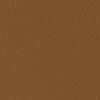 Outback