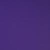 Bright Violet Bright Violet