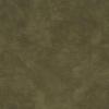 Dark Green Dark Green