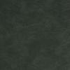 Forest Green Forest Green