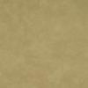 Parchment Parchment
