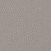 Light Titanium