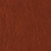 Indian Red 