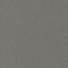 Medium Gray