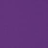 Bayside Violet Bayside Violet