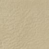 Neutral