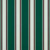Forest Green Fancy Forest Green Fancy