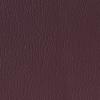 Purple Gray