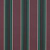 Plum Fancy Plum Fancy