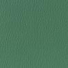 China Green China Green