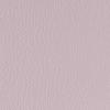 Lilac Lilac