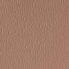 Mauve Mauve