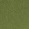 Olive Green Olive Green