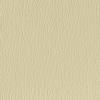 Parchment Parchment