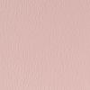 Pink Pink