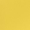 Sun Yellow Sun Yellow