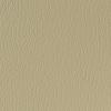Taupe Taupe
