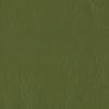 Wallaby Olive