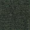 Conifer
